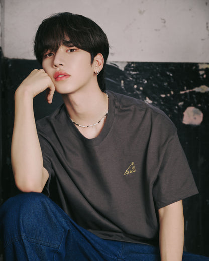 T-shirt / smoke gray